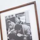 비둘기여인숙