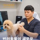 송파새날동물병원 | [공지] 송파새날동물병원 의료진·장비·진료시간·오시는 길 안내