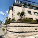 프리마 베라 이미지