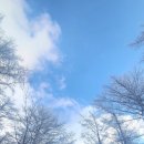 설산약국 이미지