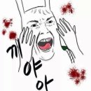 금빛에스테틱 네이버블로그