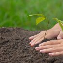 큰나무태권도장 이미지