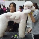 개스타일 이미지