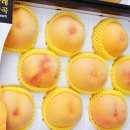 철호농장 이미지