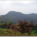 목상초등학교 이미지