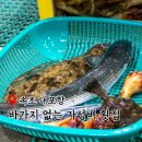 종일활어 이미지