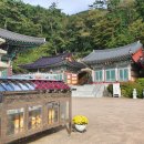 복천사 지장시왕도 이미지
