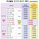 정투어여행사