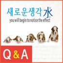 아기강아지 이미지