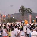 경주 벚꽃마라톤 대회 성황리 개최 이미지