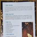 약손건강안마지압원 이미지