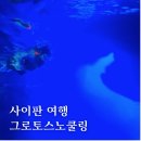 BBQ | 사이판 여행 다이빙 성지 그로토 스노쿨링 즐기고 BBQ 후기