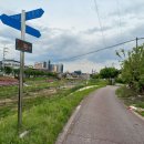 LH아파트 앞 제방 이미지