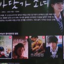 금양이(금쪽 같은 내 고양이) | [블챌] 백예순다섯 번째 일기.