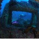 바다올레 이미지