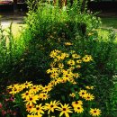 광주희망병원 이미지