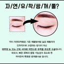 카이의원 이미지