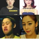렛미인 마이데일리