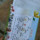 미래조이약국 이미지