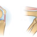 데이동물의료센터 이미지