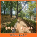 마이홈공인중개사 | [김포 풍무동 이사] 경기 익스프레스 후기, 그리고 황토길 산책으로 시작하는 '아침이 있는 삶'