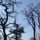 (Henry Moro Bruen 1874-1959) (부해리(傅海利)) 선교사 이미지