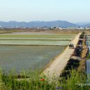 주남오리궁 이미지