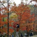 강천산군립공원(강천사) 이미지