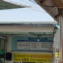 마산 돝섬 내돈내산 후기｜아이랑 배 타고 다녀온 마산 가볼만한곳