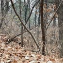 용강점 현대자동차 | 등산후기: 고봉산 (高峰山)