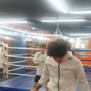 수원동양복싱 이미지