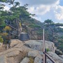 6월28일(토)문경 황장산 이미지