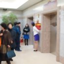 남성(금호) 이미지