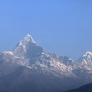 사랑코트 이미지