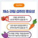 청년과일 - 고창군 고인돌대로 1415 | 청년과일