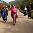 자매목장 이미지