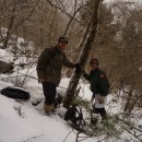 지리산화개깊은골 이미지