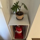 니가나나스테이 이미지