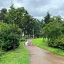 삼산잔디공원 이미지