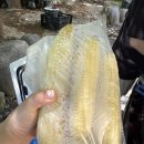 산새소리물새소리 이미지