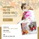 발란스9 - 8550 | 발란스9