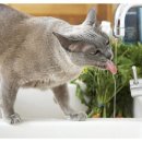 미래한의원 이미지