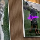 앤드바스 이미지