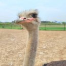 미션 아카데미 이미지