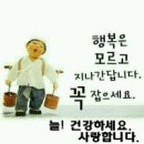 하루 Daum카페