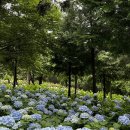 율포 펜션 이미지