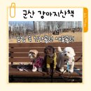 애견운동공원(하절기) | 군산 강아지산책 도심 속 새들공원 걷기 좋은 애견산책 힐링코스