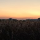 순천만습지 이미지