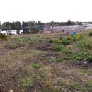 강정동-25 이미지