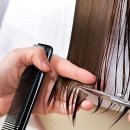 생활미용헤어 이미지